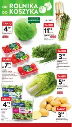Gazetka promocyjna Intermarche - Gazetka - ważna od 15.05 do 15.05.2024 - strona 4 - produkty: Sałata lodowa, Sałat, Natka pietruszki, Grill, Fa