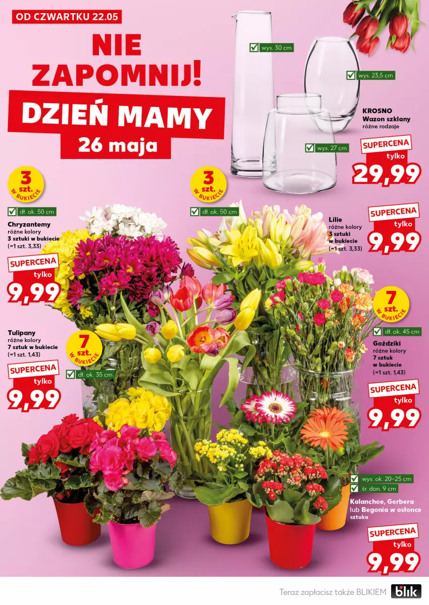 Gazetka promocyjna Kaufland - Mocny Start - ważna 26.05 do 28.05.2025 - strona 8 - produkty: Tera, Tulipan, Wazon
