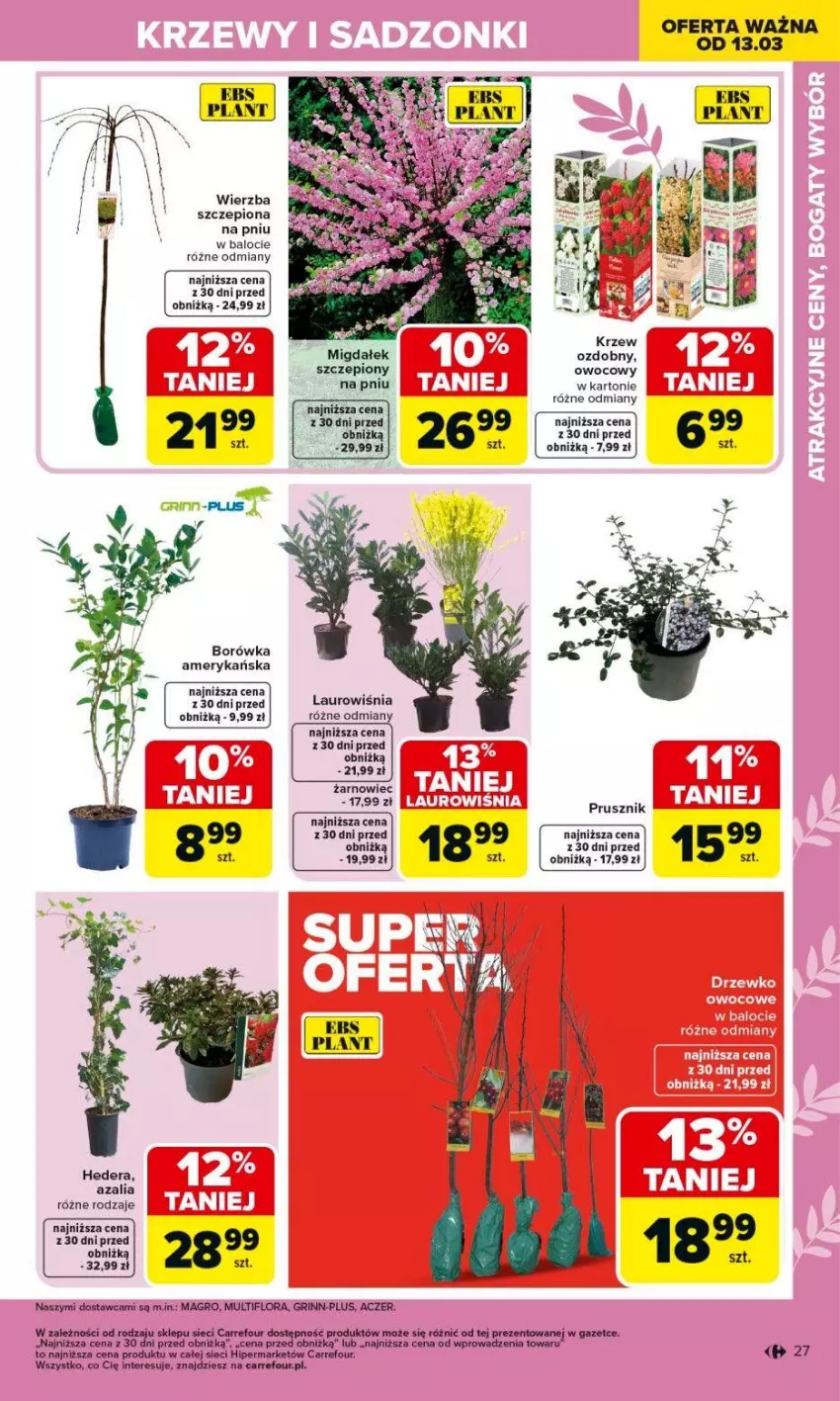 Gazetka promocyjna Carrefour - Gazetka Ogród - ważna 02.03 do 04.04.2026 - strona 27 - produkty: Borówka, Borówka amerykańska, Flora, Laur