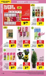 Gazetka promocyjna Carrefour - Gazetka Ogród - Gazetka - ważna od 04.04 do 04.04.2026 - strona 26 - produkty: Róża, EPEE, Bukiet, Znicz, Wino, Fa