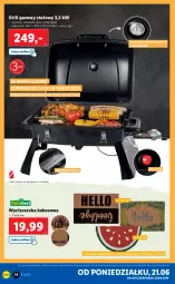 Gazetka promocyjna Lidl - GAZETKA - Gazetka - ważna od 26.06 do 26.06.2021 - strona 14 - produkty: Por, Wycieraczka, Termometr, Tran, Grill, Grill gazowy, Pokrywa, Kokos