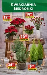 Gazetka promocyjna Biedronka - W tym tygodniu - Gazetka - ważna od 30.11 do 30.11.2022 - strona 58 - produkty: Sok, Poinsecja, Róża, Kosz, Wazon, 