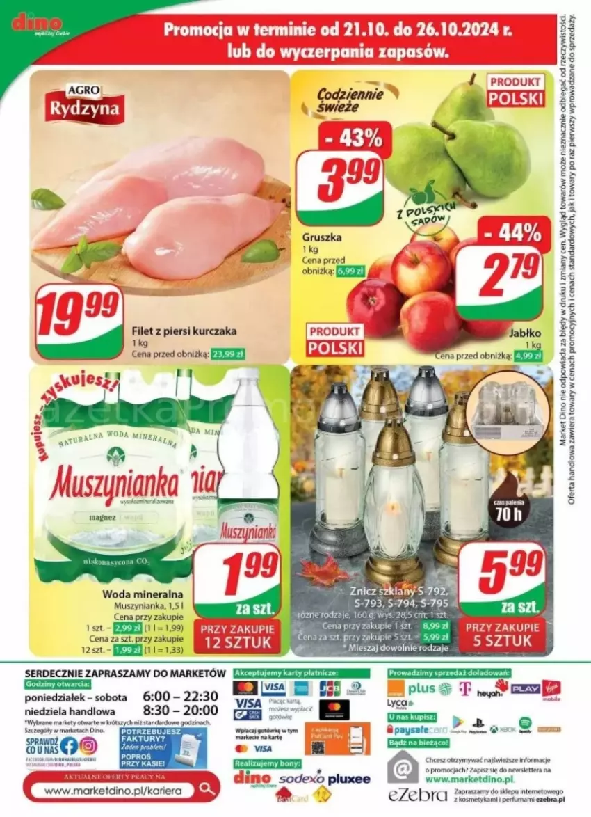 Gazetka promocyjna Dino - ważna 23.10 do 29.10.2024 - strona 71 - produkty: Filet z piersi kurczaka, Kurczak, Mus, Muszynianka, Rama, Ser, Tera, Woda, Woda mineralna