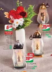 Gazetka promocyjna Dino - Gazetka - ważna od 29.10 do 29.10.2024 - strona 54 - produkty: Piwo, Róża, Znicz