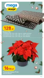 Gazetka promocyjna Castorama - Gazetka Castorama - Gazetka - ważna od 26.12 do 26.12.2021 - strona 31 - produkty: Ser, Rama, Poinsecja, Farba lateksowa, Astor, Dulux, Dywan, Fa