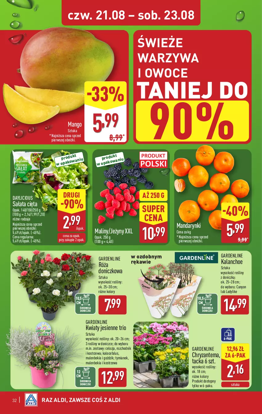 Gazetka promocyjna Aldi - Pełna oferta - ważna 18.08 do 23.08.2025 - strona 32 - produkty: Chodnik, Chryzantema, Fa, Jeżyny, Kalanchoe, Maliny, Mandarynki, Mango, Mule, Owoce, Róża, Sałat, Sok, Warzywa, Warzywa i owoce