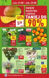 Gazetka promocyjna Aldi - Pełna oferta - Gazetka - ważna od 23.08 do 23.08.2025 - strona 32 - produkty: Mandarynki, Warzywa, Sok, Chodnik, Róża, Chryzantema, Warzywa i owoce, Jeżyny, Kalanchoe, Sałat, Maliny, Mule, Owoce, Mango, Fa