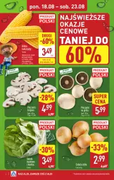 Gazetka promocyjna Aldi - Pełna oferta - Gazetka - ważna od 23.08 do 23.08.2025 - strona 4 - produkty: Piec, Cebula, Sałata masłowa, Sałat, Pieczarki krojone, Grill, Masło