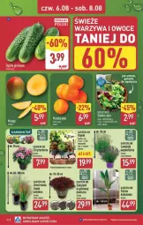 Gazetka promocyjna Aldi - Pełna oferta - Gazetka - ważna od 08.08 do 08.08.2026 - strona 32 - produkty: Warzywa, Warzywa i owoce, Palma, Owoce, Sukulent, Kokos