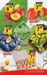 Gazetka promocyjna Arhelan - Gazetka - ważna od 18.08 do 18.08.2024 - strona 12 - produkty: Jaja, Papryka, Wino, Fa