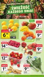 Gazetka promocyjna Intermarche - Gazetka promocyjna - Gazetka - ważna od 09.09 do 09.09.2026 - strona 12 - produkty: Gra, Mango, Grafika, Szpinak, Imbir