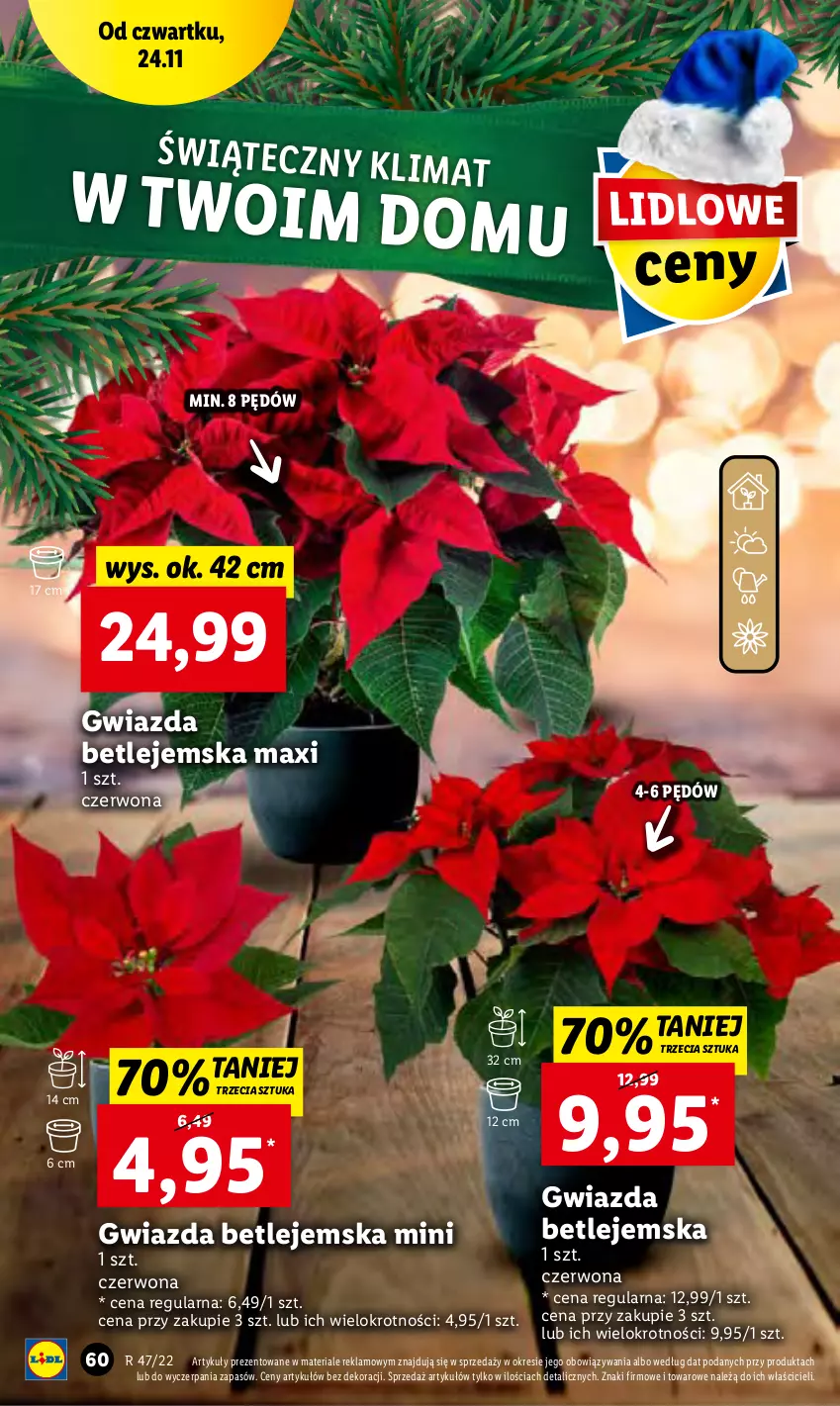 Gazetka promocyjna Lidl - GAZETKA - ważna 24.11 do 26.11.2022 - strona 62 - produkty: Gwiazda