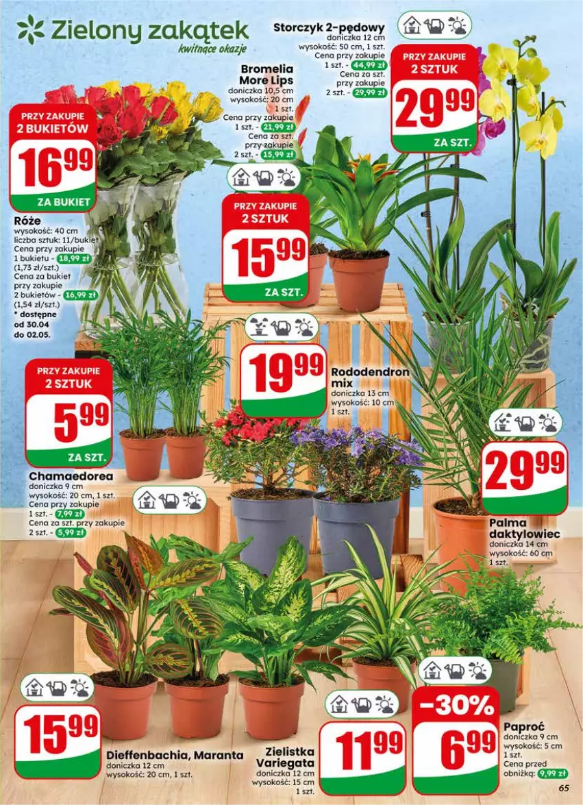 Gazetka promocyjna Dino - Gazetka 18 / 2026 - ważna 29.04 do 05.05.2026 - strona 65 - produkty: Bromelia, Bukiet, Chia, Hama, NBA, Palma, Sok, Storczyk
