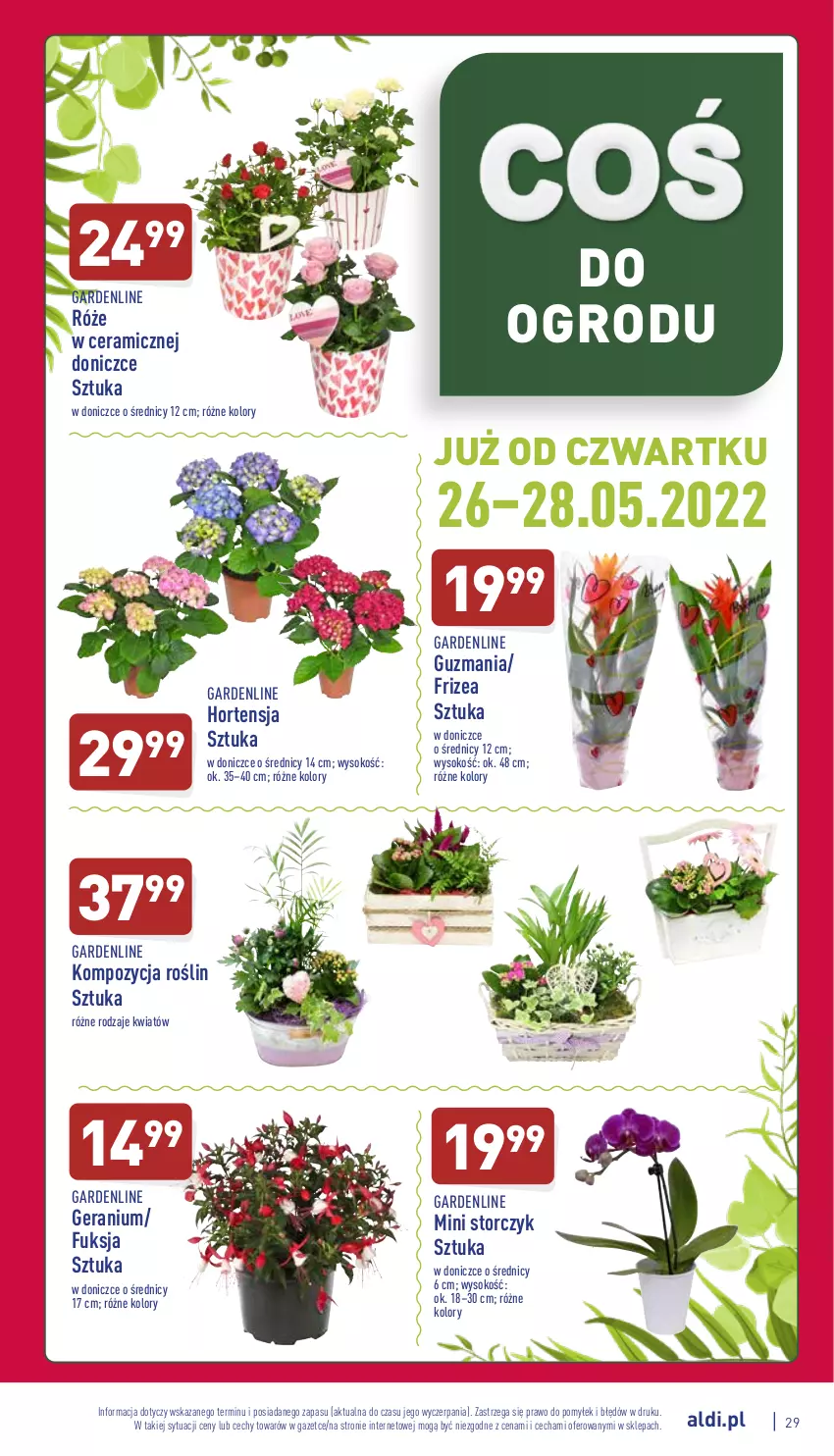 Gazetka promocyjna Aldi - Pełny katalog - ważna 23.05 do 28.05.2022 - strona 29 - produkty: Sok, Storczyk