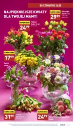 Gazetka promocyjna Aldi - Pełny katalog - Gazetka - ważna od 28.05 do 28.05.2022 - strona 23 - produkty: Sok, Tulipan, Bukiet