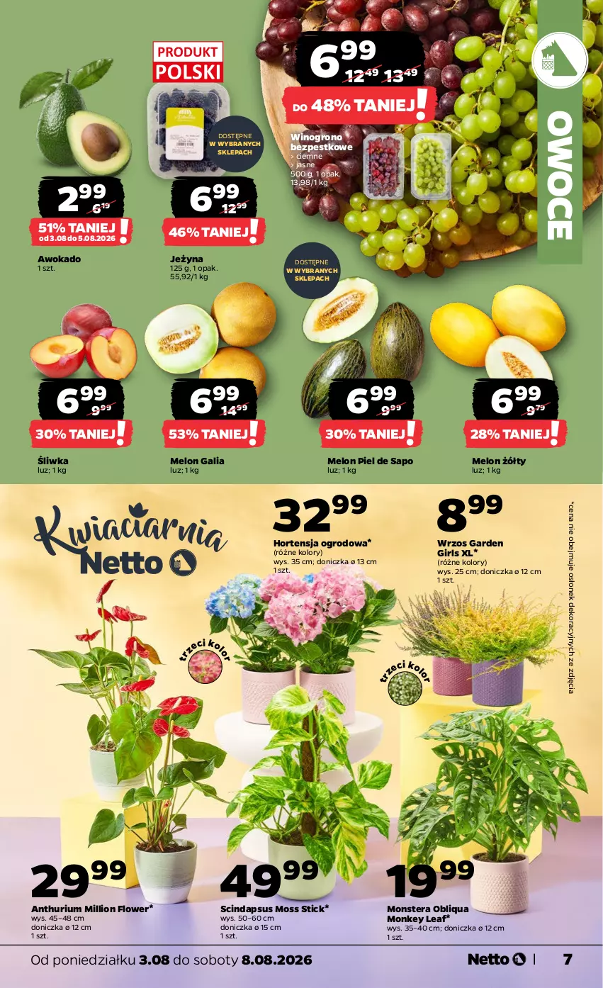 Gazetka promocyjna Netto - Od Poniedziałku - ważna 03.08 do 08.08.2026 - strona 7 - produkty: Lion, Melon, Owoce, Tera, Wino