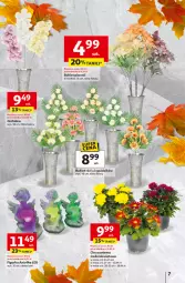 Gazetka promocyjna Auchan - Wielkie przeboje cenowe Hipermarket - Gazetka - ważna od 15.10 do 15.10.2025 - strona 7 - produkty: Piwo, Chryzantema, Bukiet, Bateria