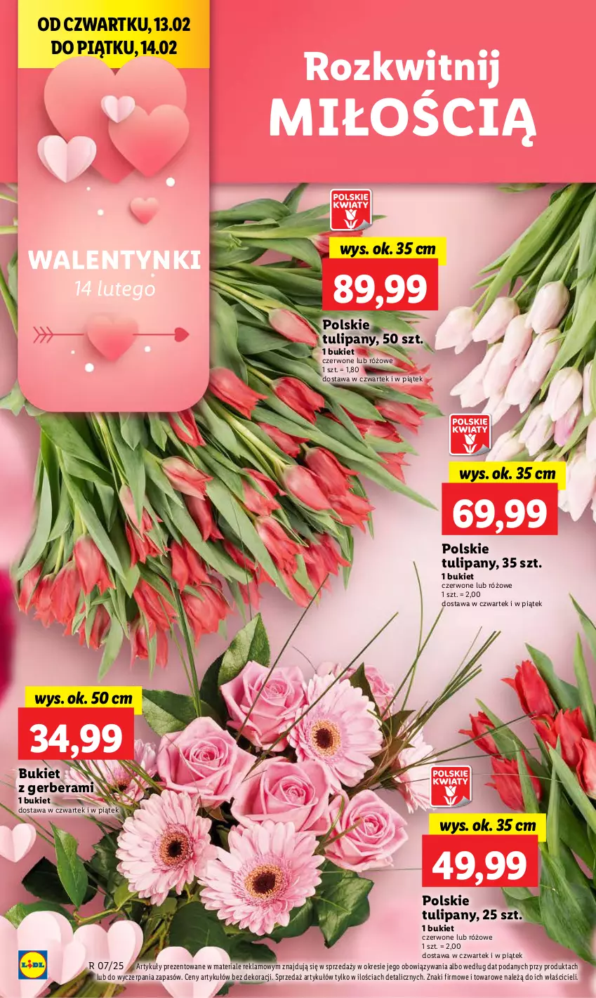 Gazetka promocyjna Lidl - GAZETKA - ważna 13.02 do 15.02.2025 - strona 6 - produkty: Bukiet, Gerber, Tulipan