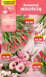 Gazetka promocyjna Lidl - GAZETKA - Gazetka - ważna od 15.02 do 15.02.2025 - strona 6 - produkty: Gerber, Tulipan, Bukiet