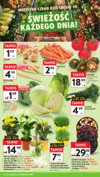 Gazetka promocyjna Intermarche - Gazetka promocyjna - Gazetka - ważna od 07.04 do 07.04.2026 - strona 24 - produkty: Cebula, Ser, Pietruszka, Róża, Rzeżucha, Chia, Narcyz, Osłonka