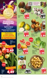 Gazetka promocyjna Kaufland - Gazetka tygodnia - Gazetka - ważna od 04.10 do 04.10.2023 - strona 26 - produkty: Warzywa, Sok, Czosnek, Ziemniaki, Laur, Sałat, Gruszki, Owoce, Wino, Grunt, Pomidory, Jabłka, Grejpfrut, Fa