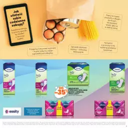 Gazetka promocyjna Stokrotka - Katalog Kulinarny - Gazetka - ważna od 25.06 do 25.06.2025 - strona 31 - produkty: Warzywa, Podpaski, Owoce, Wkładki, Mięso