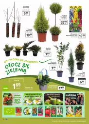 Gazetka promocyjna Carrefour - Gazetka Ogród - Gazetka - ważna od 12.04 do 12.04.2021 - strona 12 - produkty: Borówka, Borówka amerykańska, , Tonik, Flora, Wino