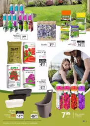 Gazetka promocyjna Carrefour - Gazetka Ogród - Gazetka - ważna od 12.04 do 12.04.2021 - strona 13 - produkty: Sos, Borówka, Róża, Tonik, Wino