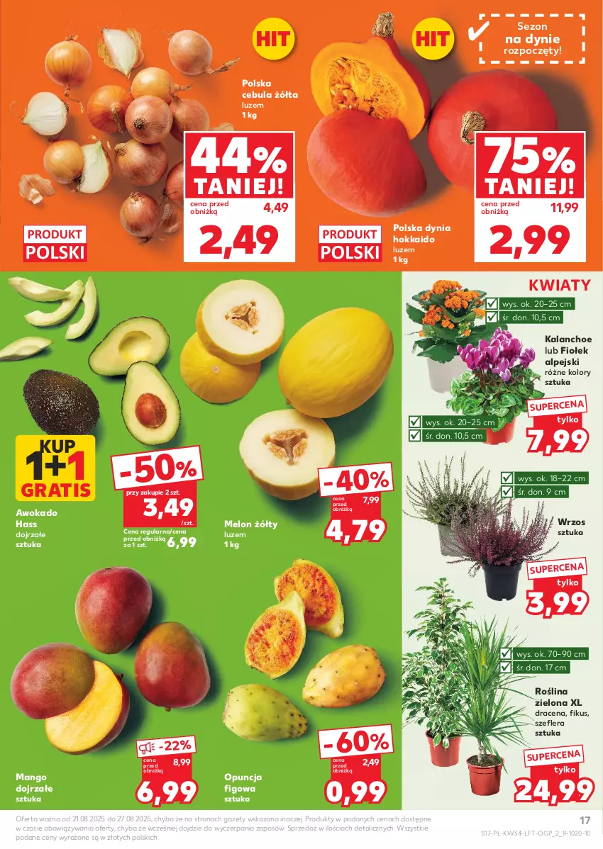 Gazetka promocyjna Kaufland - Gazetka tygodnia - ważna 21.08 do 27.08.2025 - strona 17 - produkty: Cebula, Gra, Kalanchoe, Mango, Melon