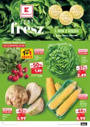 Gazetka promocyjna Kaufland - Gazetka tygodnia - Gazetka - ważna od 27.08 do 27.08.2025 - strona 16 - produkty: Warzywa, Gra, Sałata masłowa, Seler korzeń, Tera, Sałat, Owoce, Masło, Rzodkiewka, Kukurydza