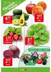 Gazetka promocyjna Prim Market - Gazetka - ważna od 17.05 do 17.05.2023 - strona 6 - produkty: LEGO, Sałat
