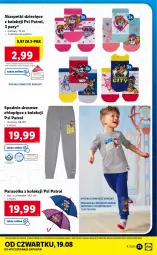 Gazetka promocyjna Lidl - GAZETKA - Gazetka - ważna od 21.08 do 21.08.2021 - strona 33 - produkty: Sok, Karp, Parasol, Skarpetki, Dres, Dzieci, Spodnie, Spodnie dresowe, Psi Patrol
