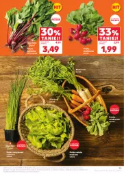 Gazetka promocyjna Kaufland - Gazetka tygodnia - Gazetka - ważna od 29.04 do 29.04.2025 - strona 25 - produkty: Sałata masłowa, Pietruszka, Inka, Sałat, Grunt, Masło, Rzodkiewka