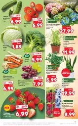 Gazetka promocyjna Kaufland - OFERTA TYGODNIA - Gazetka - ważna od 16.03 do 16.03.2022 - strona 15 - produkty: Borówka, Truskawki, Winogrona, Wino, Grunt, Pomidory