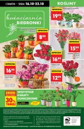 Gazetka promocyjna Biedronka - Od Czwartku 16.10 - Gazetka - ważna od 22.10 do 22.10.2025 - strona 64 - produkty: Sok, Gra, Telefon, Papier, Tulipan, Róża, Chryzantema, Kawa, Kosz, Kalanchoe, Napoje, Wazon, Bukiet