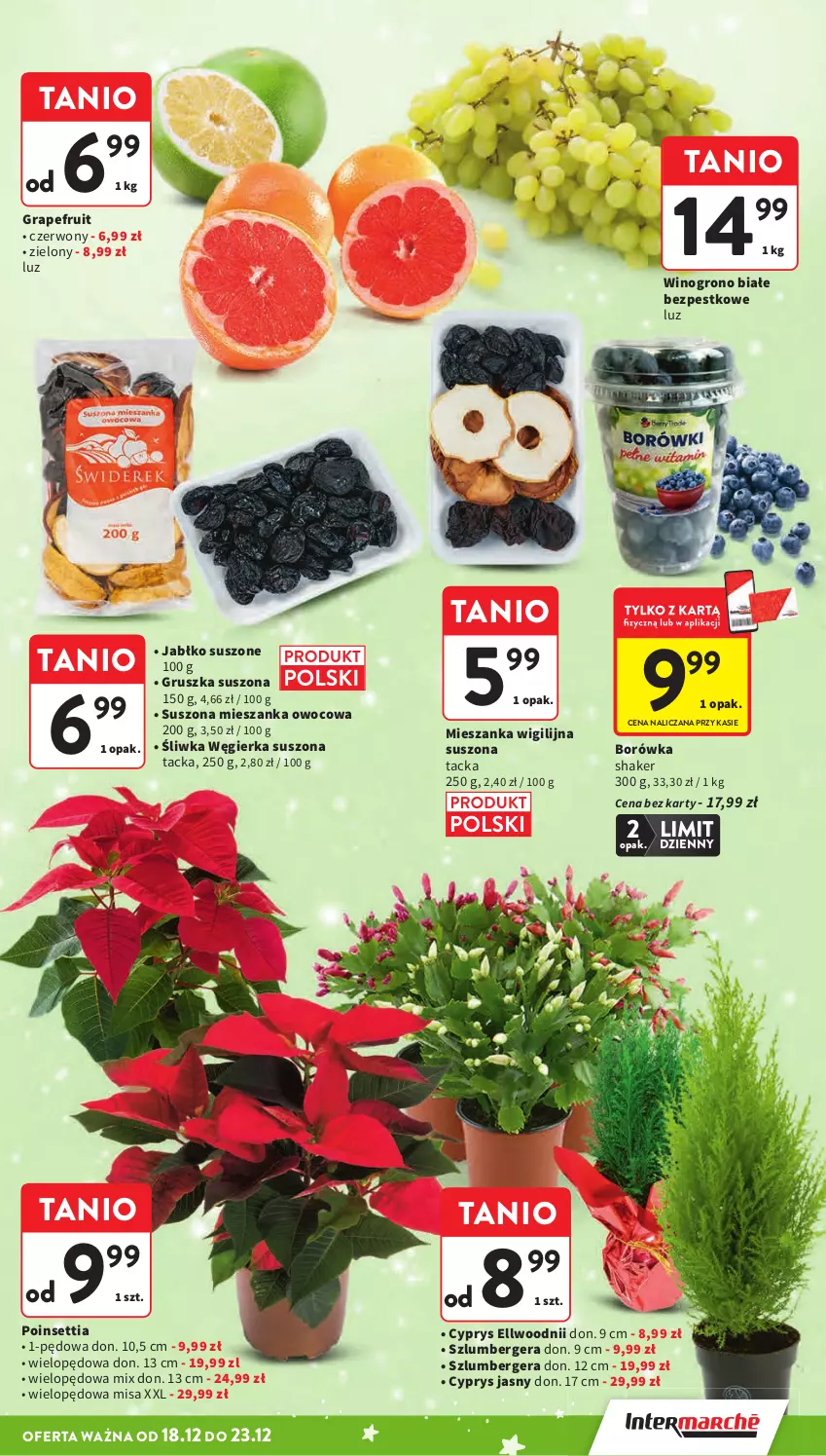 Gazetka promocyjna Intermarche - Gazetka promocyjna - ważna 18.12 do 23.12.2025 - strona 33 - produkty: Borówka, Gra, Szlumbergera, Wino