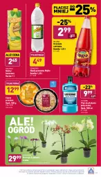 Gazetka promocyjna Aldi - Pełny katalog - Gazetka - ważna od 31.12 do 31.12.2021 - strona 31 - produkty: Sok, Płyn do płukania jamy ustnej, Listerine, Nektar bananowy, Tera, Storczyk, Oranżada, Płyn do płukania, Schweppes, Hellena, Napój gazowany, Napój, Nektar