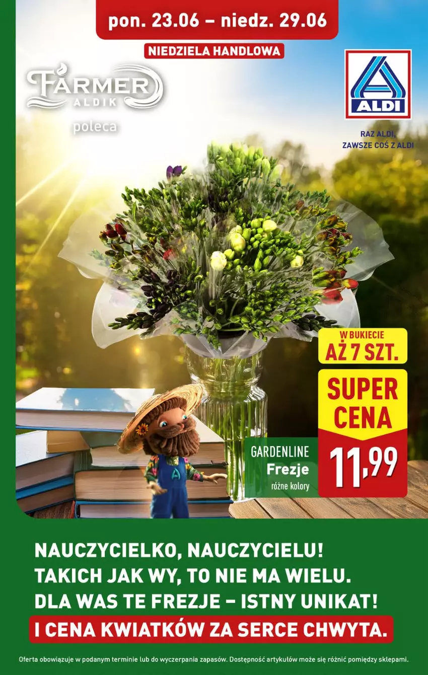 Gazetka promocyjna Aldi - Oferta weekendowa - ważna 26.06 do 29.06.2025 - strona 14 - produkty: Ser