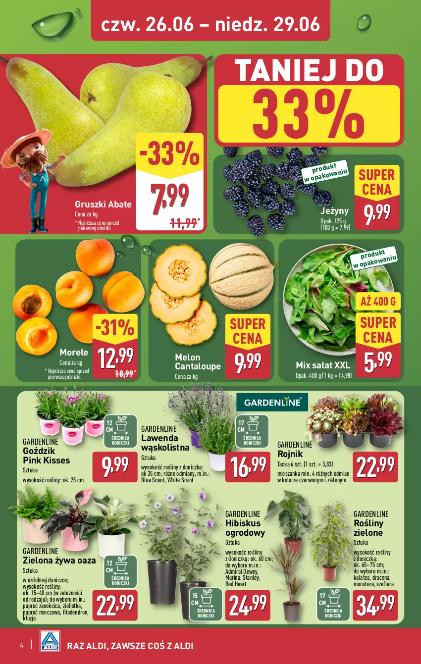 Gazetka promocyjna Aldi - Oferta weekendowa - ważna 26.06 do 29.06.2025 - strona 4 - produkty: Gruszki, Hibiskus, Jeżyny, Melon, Miecz, Sałat, Sok, Tera