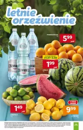 Gazetka promocyjna Stokrotka - Market - Gazetka - ważna od 06.08 do 06.08.2025 - strona 9 - produkty: Warzywa, Pomarańcze, Owoce, Mięso