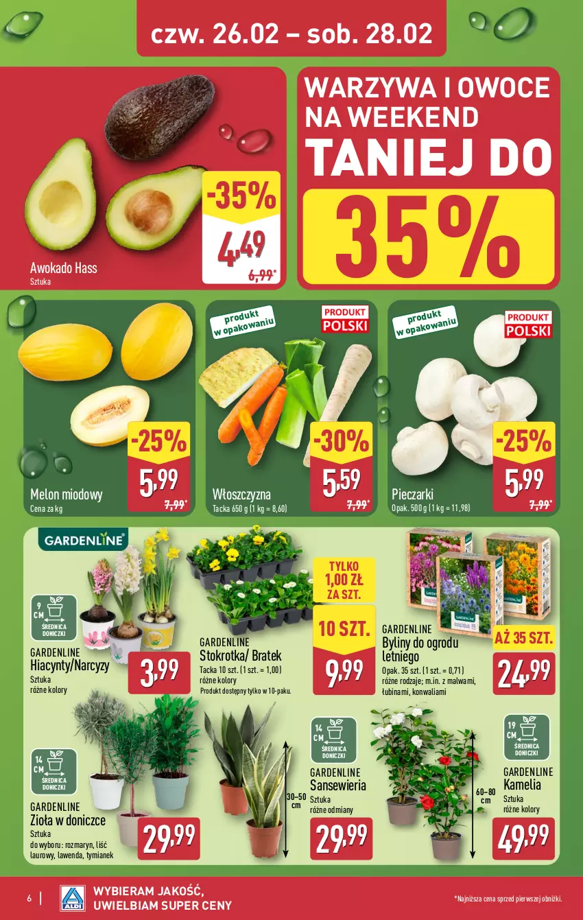Gazetka promocyjna Aldi - Oferta weekendowa - ważna 26.02 do 28.02.2026 - strona 6 - produkty: Hiacynt, Laur, Melon, Narcyz, Owoce, Piec, Warzywa, Warzywa i owoce, Zioła w doniczce