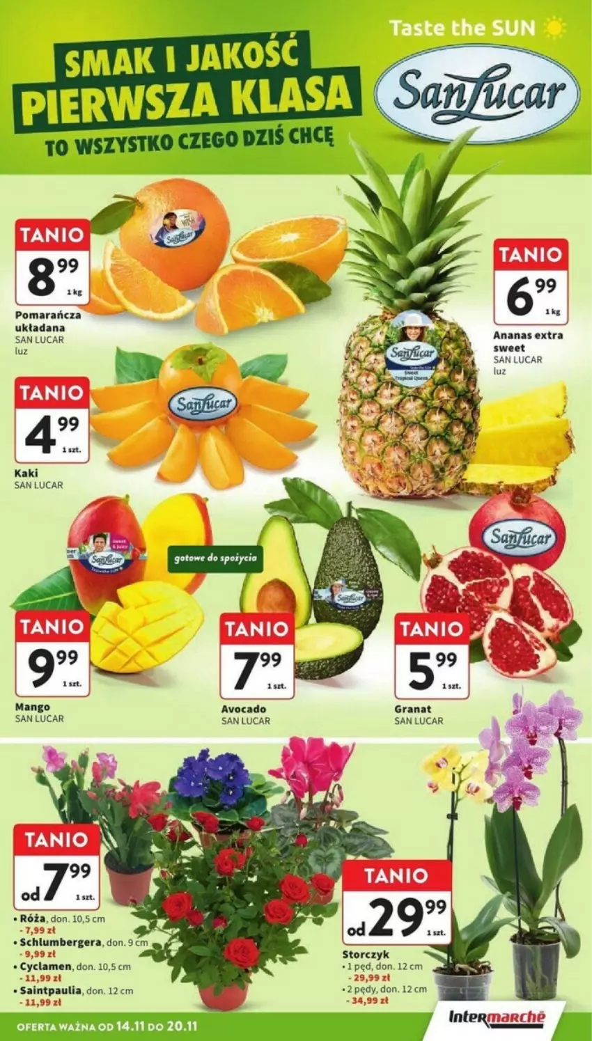 Gazetka promocyjna Intermarche - ważna 14.11 do 20.11.2024 - strona 7 - produkty: Ananas, Avocado, Gra, Granat, Mango, Róża, Storczyk