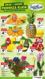Gazetka promocyjna Intermarche - Gazetka - ważna od 20.11 do 20.11.2024 - strona 7 - produkty: Gra, Róża, Granat, Ananas, Storczyk, Avocado, Mango
