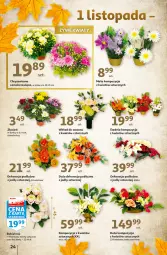 Gazetka promocyjna Auchan - Gazetka przeNISKIE CENY – przeKorzyści z markami Auchan Hipermarkety - Gazetka - ważna od 05.10 do 05.10.2022 - strona 24 - produkty: Ser, Chryzantema, Cień, Wazon, Bukiet, Fa