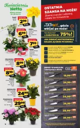 Gazetka promocyjna Netto - Gazetka spożywcza - Gazetka - ważna od 28.03 do 28.03.2021 - strona 18 - produkty: Piec, Ser, Noż, Gerber, Nóż uniwersalny, Chryzantema, Chia, Klej, , Nóż szefa kuchni, Bukiet, Fa