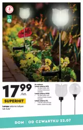 Gazetka promocyjna Biedronka - Okazje Tygodnia - Gazetka - ważna od 04.08 do 04.08.2021 - strona 14 - produkty: Tulipan, Lampa