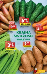 Gazetka promocyjna Biedronka - Gazetka - Biedronka.pl - Gazetka - ważna od 08.02 do 08.02.2023 - strona 17 - produkty: Warzywa, Sok, Ogórek, Ziemniaki, Grunt