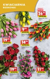 Gazetka promocyjna Biedronka - Gazetka - Biedronka.pl - Gazetka - ważna od 08.02 do 08.02.2023 - strona 55 - produkty: Sok, Koc, Tulipan, Róża