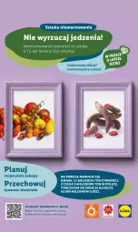 Gazetka promocyjna Lidl - GAZETKA - Gazetka - ważna od 07.10 do 07.10.2023 - strona 58 - produkty: Wazon, Lion