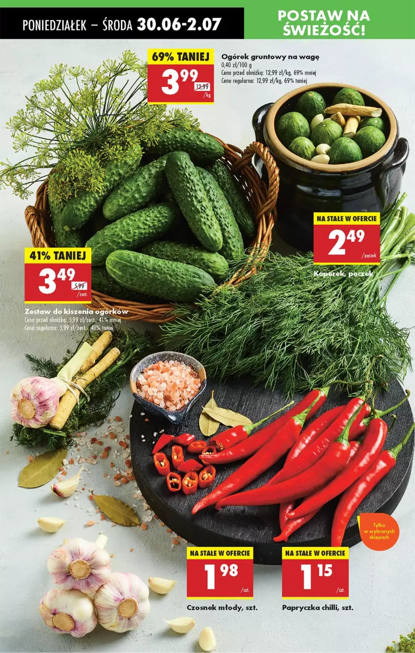 Gazetka promocyjna Biedronka - Od Poniedziałku - ważna 30.06 do 05.07.2025 - strona 25 - produkty: Grunt, Ogórek